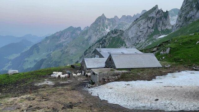 Altman in der Schweiz 