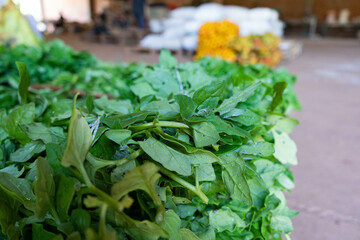 Spinach detail shot with orange background and bags