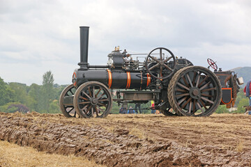 Steam Traction engine in a field