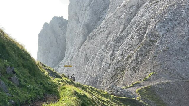 Altman in der Schweiz 