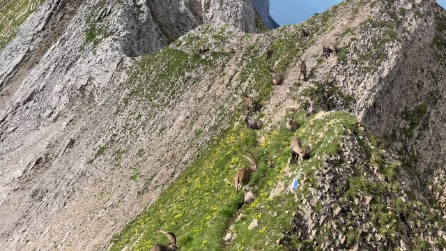 Altman in der Schweiz 