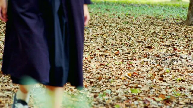 落ち葉の絨毯を歩く女性の足元　秋の森林の散歩