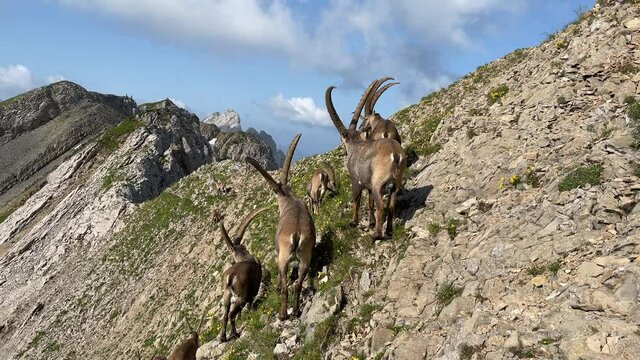 Altman in der Schweiz 