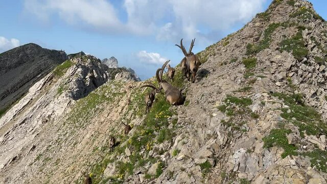 Altman in der Schweiz 