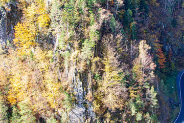 Obraz premium Autumn colors