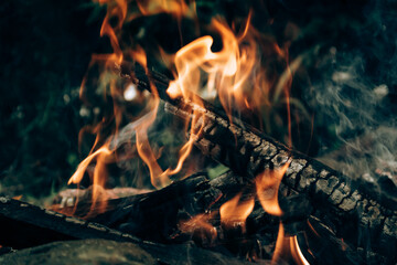 Selective focus of a burning fire in the wooden, good for environment concept.