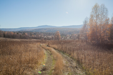 sunny autumn landscape with mountains