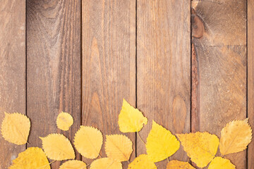 Naklejka na ściany i meble Autumn frame composition with copy space on wooden background. Autumn leaves on a wooden background