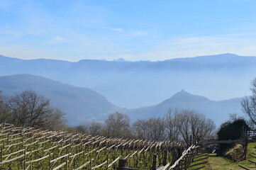 A vineyard and behind mountains with clouds in Southtyrol 