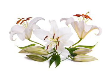Fototapeta na wymiar White lily flowers