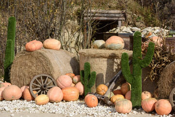 Decorations for Halloween and Day of the Dead in Mexico. fresh pumpkins.Outdoor decor to celebrate Dia Los Muertos. Thanksgiving and harvest.