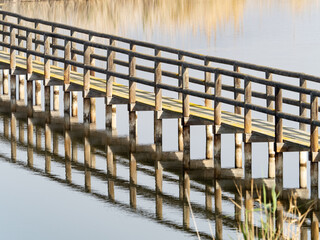 Puente en el pantano