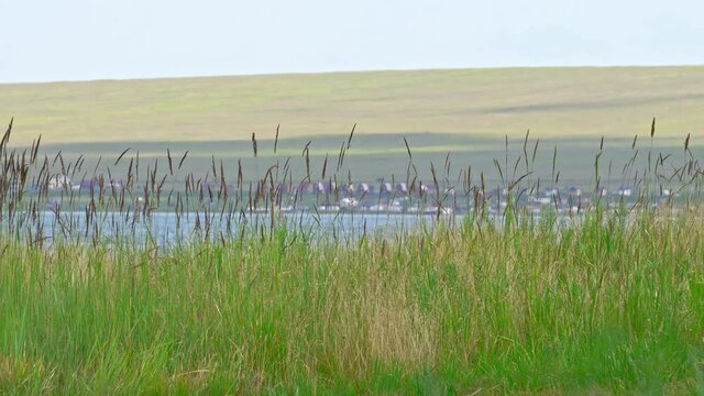 Lakes Shira and Bele, Beautiful lakes of Siberia, Khakassia, Russia