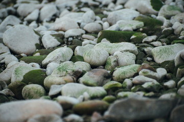 stone beach. stones on the shore