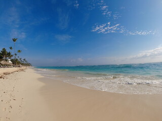 beach with palm trees