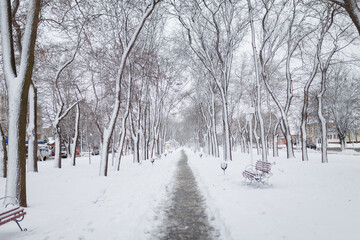 Beautiful winter landscape, trees and bench in park covered with snow.