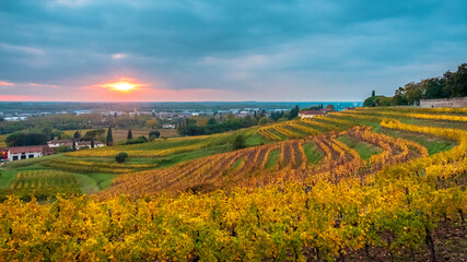 Fototapeta premium Autumn sunset in the vineyards of Collio Friulano