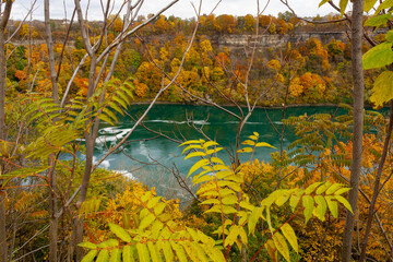 A view of a large river in the fall