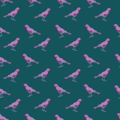 pattern with birds