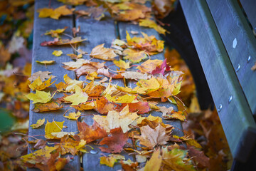 Park bench covered with leaves in Furth Germany during autumn season.