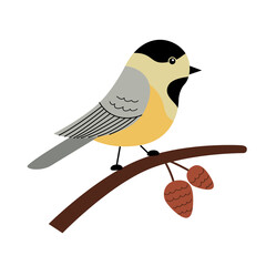 Cute chickadee on a branch with cones. Vector illustration in a trendy hand drawn style. Perfect for a print, postcard or label. Stylized character