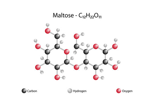 Molecular formula of maltose. Maltose is a disaccharide.