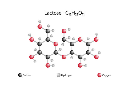Molecular formula of lactose. Lactose is a disaccharide, also called milk sugar, found only in milk in nature. It is the most important carbohydrate of milk.