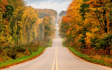 Naklejka premium Wavy curvy country roads under autumn scenes 