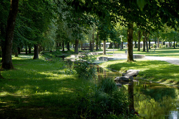 Fototapeta premium maintained park for recreation for all open in Germany