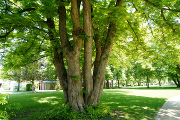 Park for recreation for all open in Germany