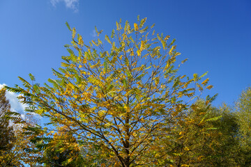Park for recreation for all open in Germany