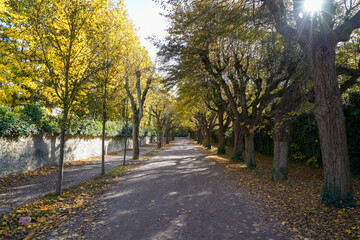 Naklejka premium Park for recreation for all open in Germany