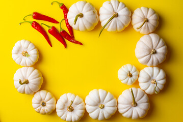 beautiful pumpkins and peppers on a yellow background. High quality photo