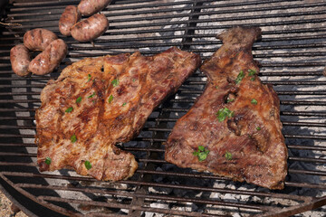 Barbecue outdoors. Closeup view of tri-tip, pork meat and sausages roasting in the grill. 