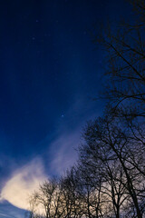 Fototapeta na wymiar Nachtaufnahme mit Wolken, Sterne, Himmel, Bäume, Wald