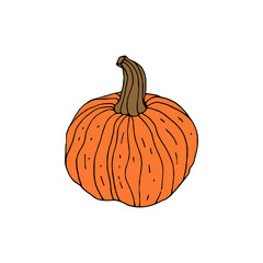 Hand drawn doodle orange pumpkin isolated on white background.