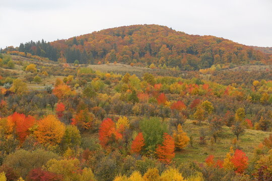 Beautiful  colorful autumn landscape of the Carpathian Mountains in Romania