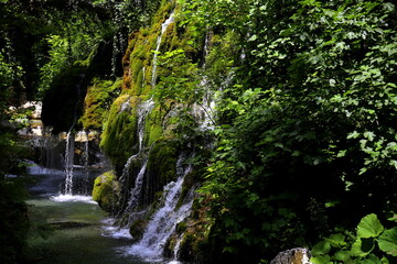 Thin and fresh waterfalls in the lush green, Morigerati, Cilento, Campania, Italy