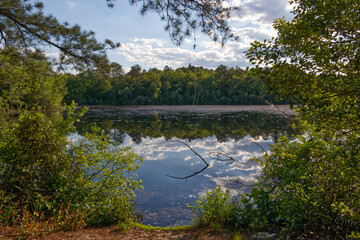 Obraz premium A beautiful lake background and path to water in the summer