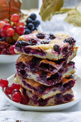Traditional Italian yeast dough pie with grapes Schiacciata and bunches of grapes on a light background.
