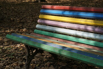a bench of colorful long woods in the forest in autumn