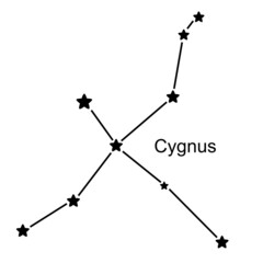 Constellation Cygnus on white background, vector illustration