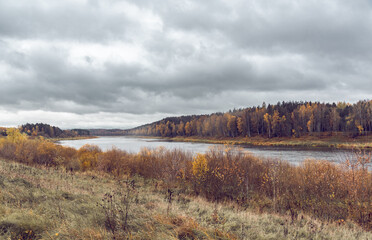 Landscape view on the bend of Daugava river, forest and meadow at Naujene parish, Daugavpils district, Latgale region, Latvia, which is a part of Nature Park “Daugavas Loki” on autumn overcast day - obrazy, fototapety, plakaty
