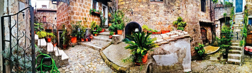 Most beautiful medieval villages of Italy - Calcata with charming floral narrow streets