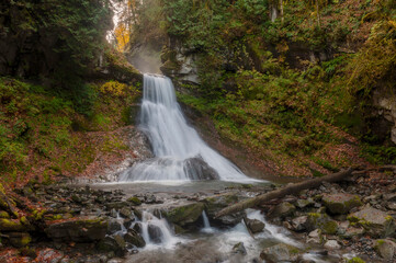 Fototapeta premium Racehorse Falls is a Beautiful Waterfall that plunges 140' down a gorge in four tiers of stunning cascades. Seen here during the fall season with colorful yellow leaves surrounding the creek.