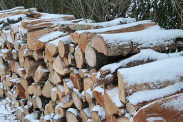 firewood covered in snow stacked in woodpile