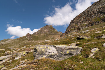 Fototapeta na wymiar Vals, Switzerland, August 21, 2021 Green meadow in an alpine scenery