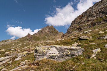 Vals, Switzerland, August 21, 2021 Green meadow in an alpine scenery