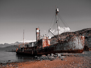 Old whaling ship on the island of South Georgia - obrazy, fototapety, plakaty