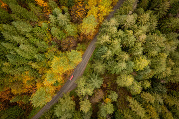 Overhead Aerial View of an Auto Driving Through a Colorful Fall Forest in the Pacific Northwest.  Rural Washington state dirt road on a beautiful autumnal morning in the Cascade Mountains.